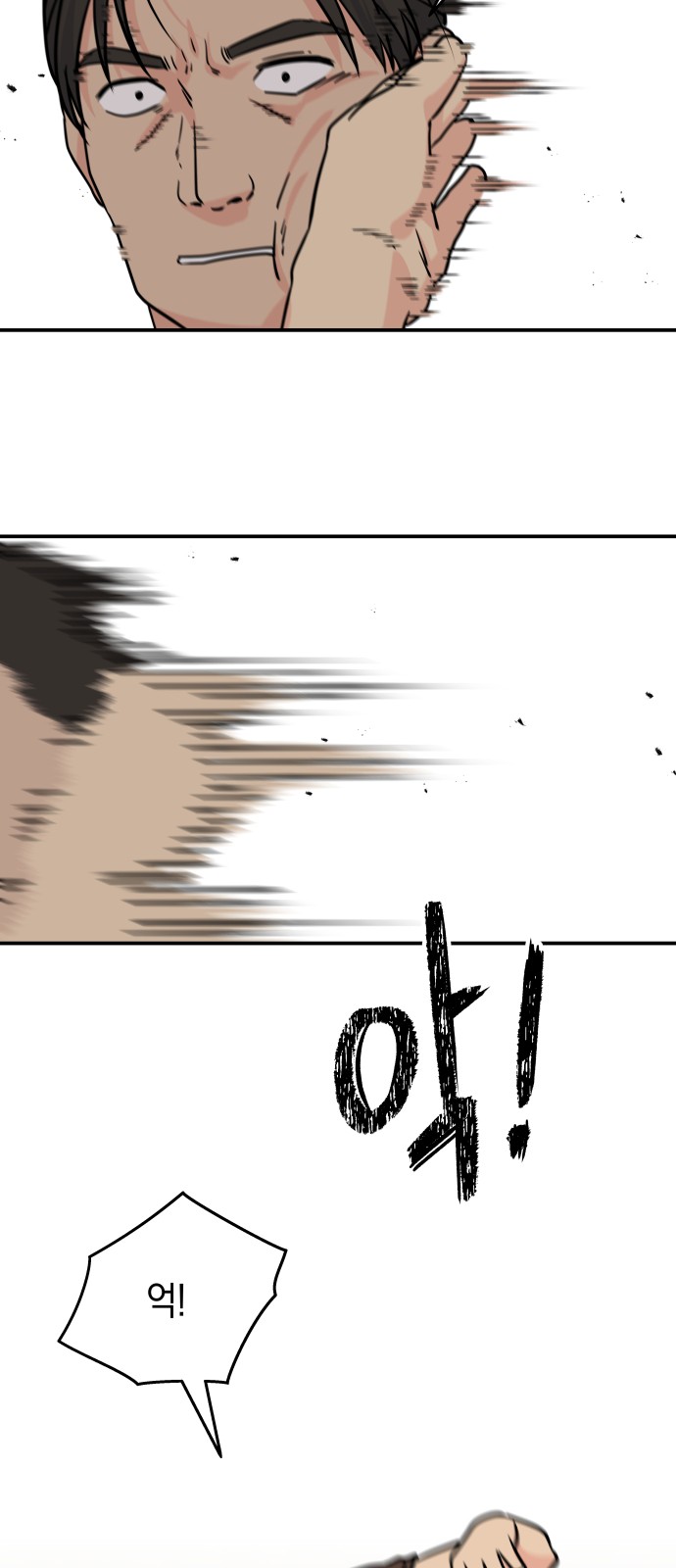 66 페이지