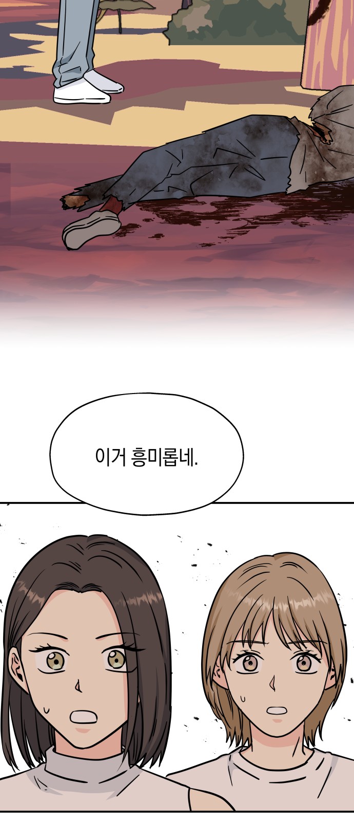 51 페이지