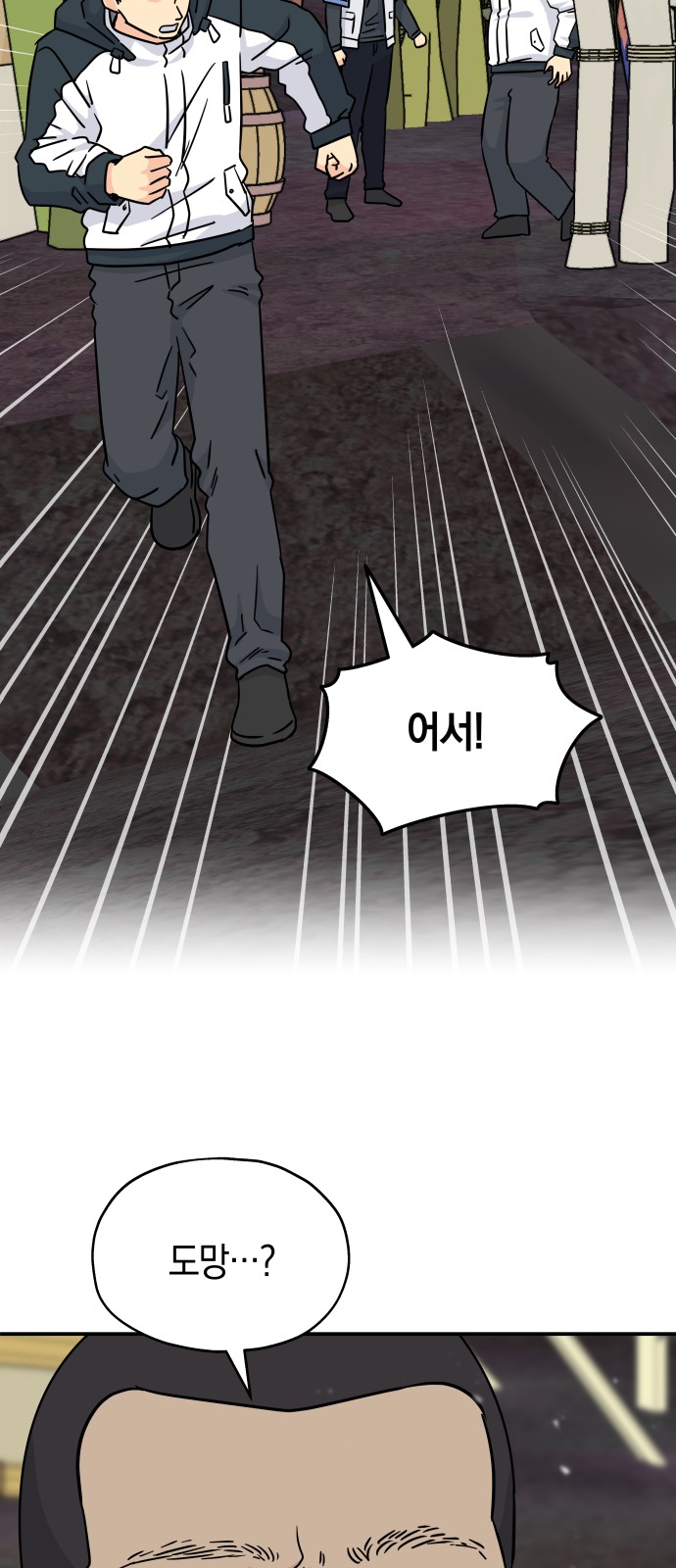 46 페이지