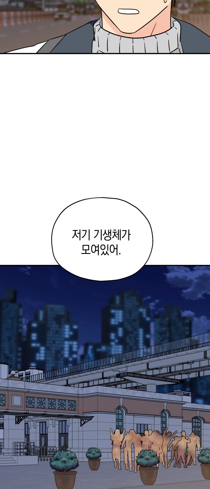 36 페이지