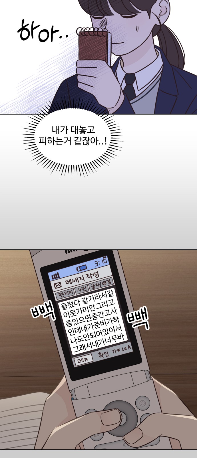 43 페이지