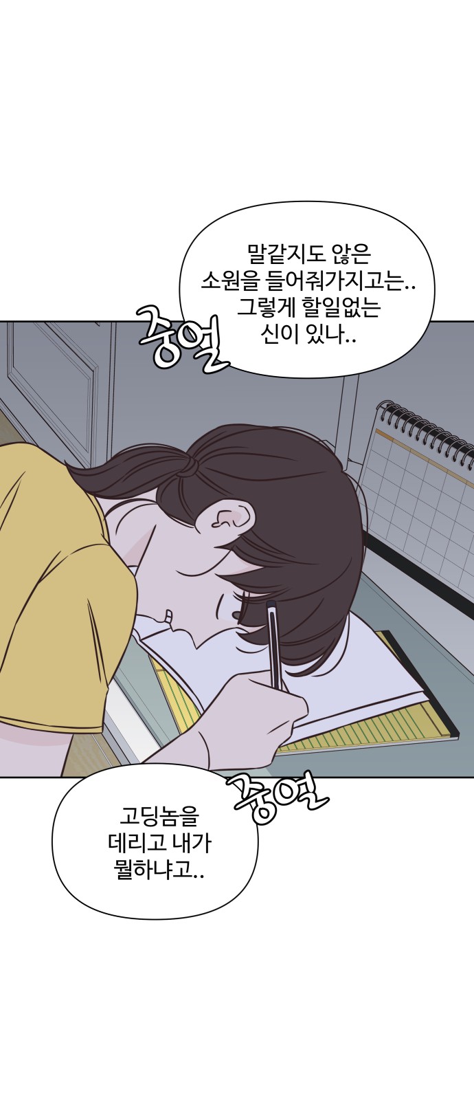43 페이지