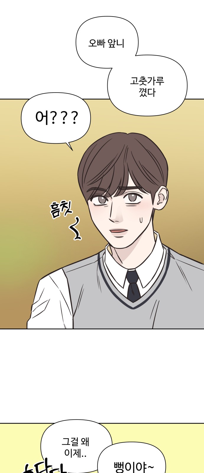 30 페이지