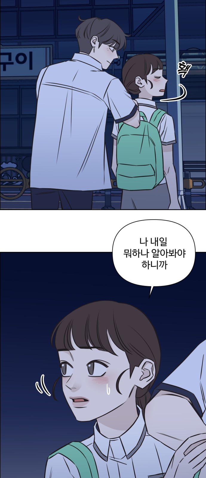 33 페이지