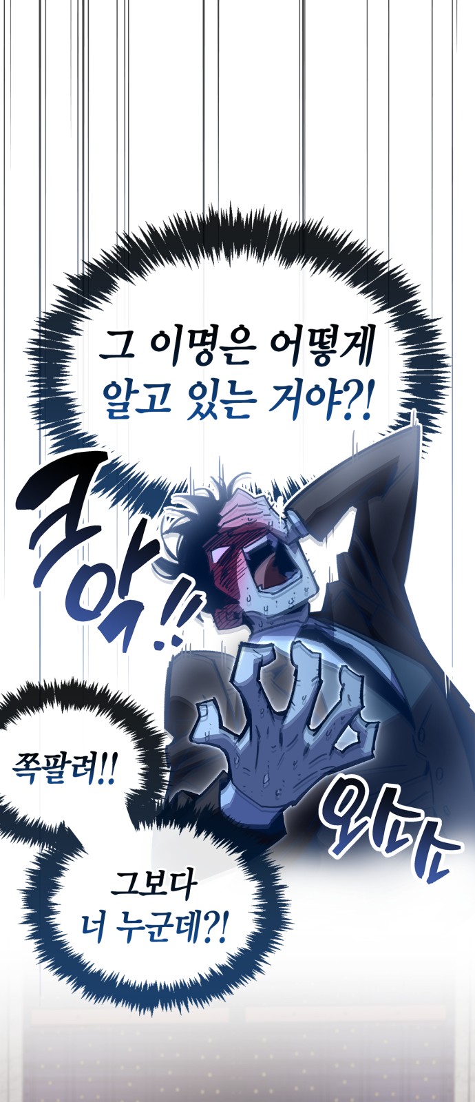 43 페이지