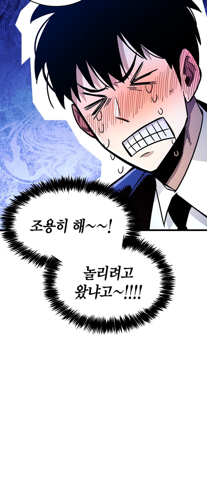 66 페이지