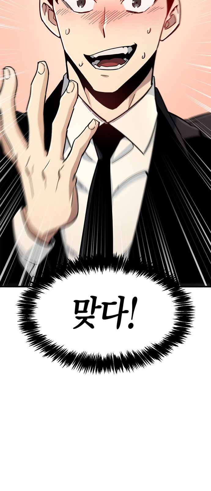 86 페이지