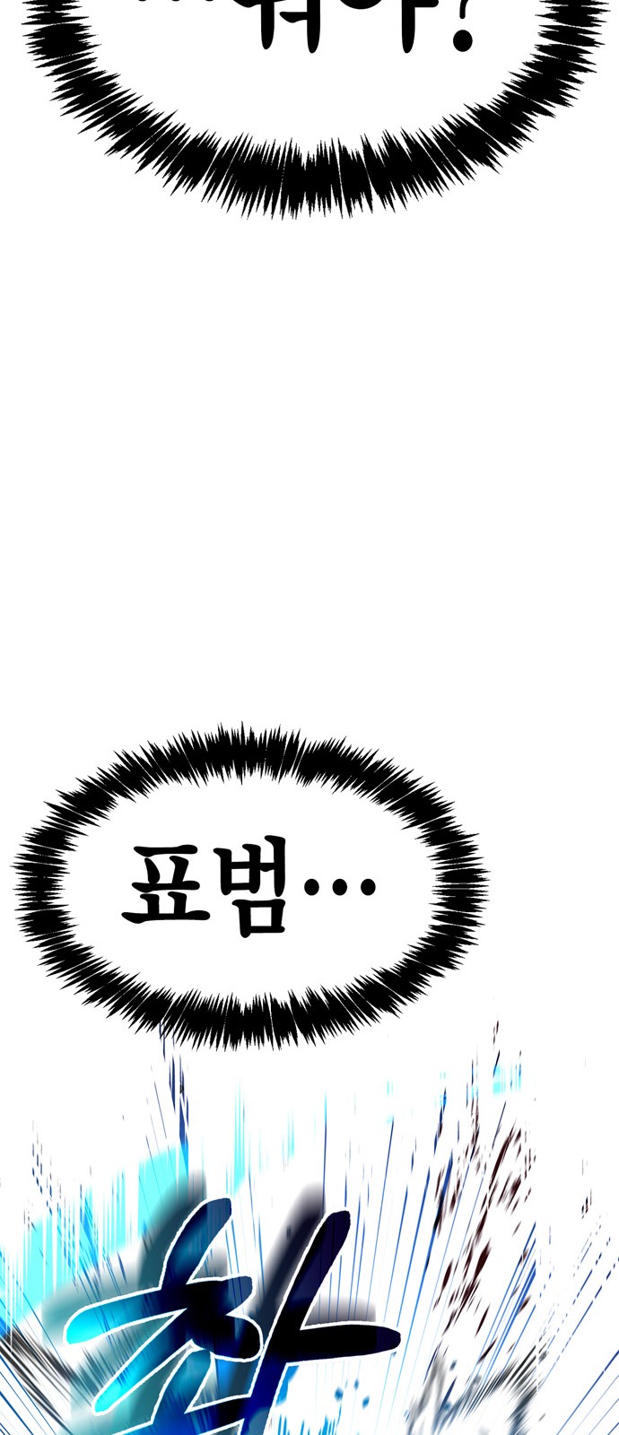 111 페이지