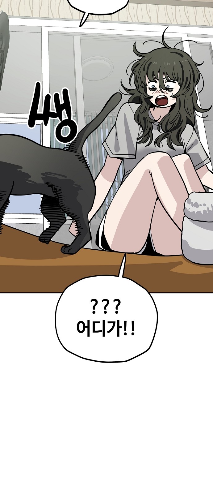 52 페이지