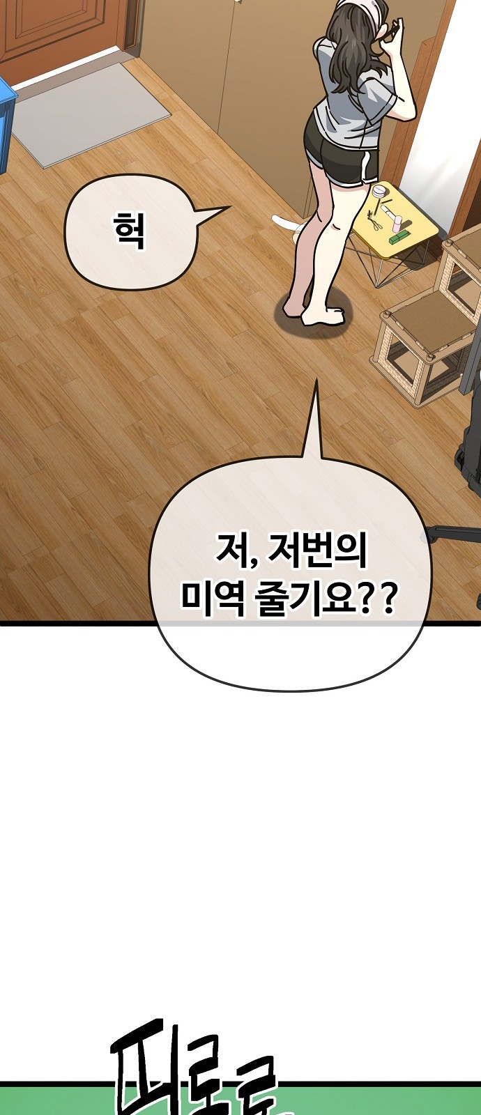 28 페이지