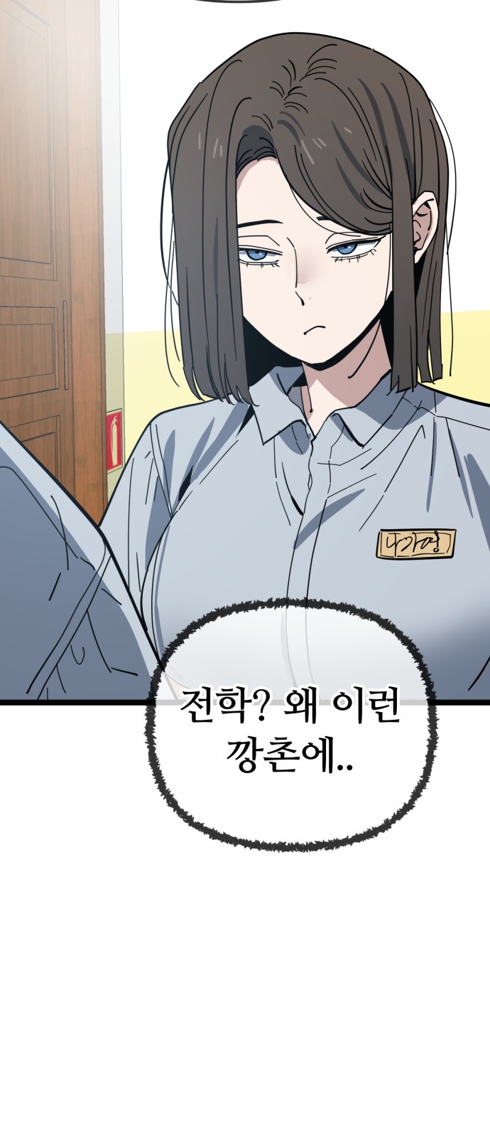 46 페이지