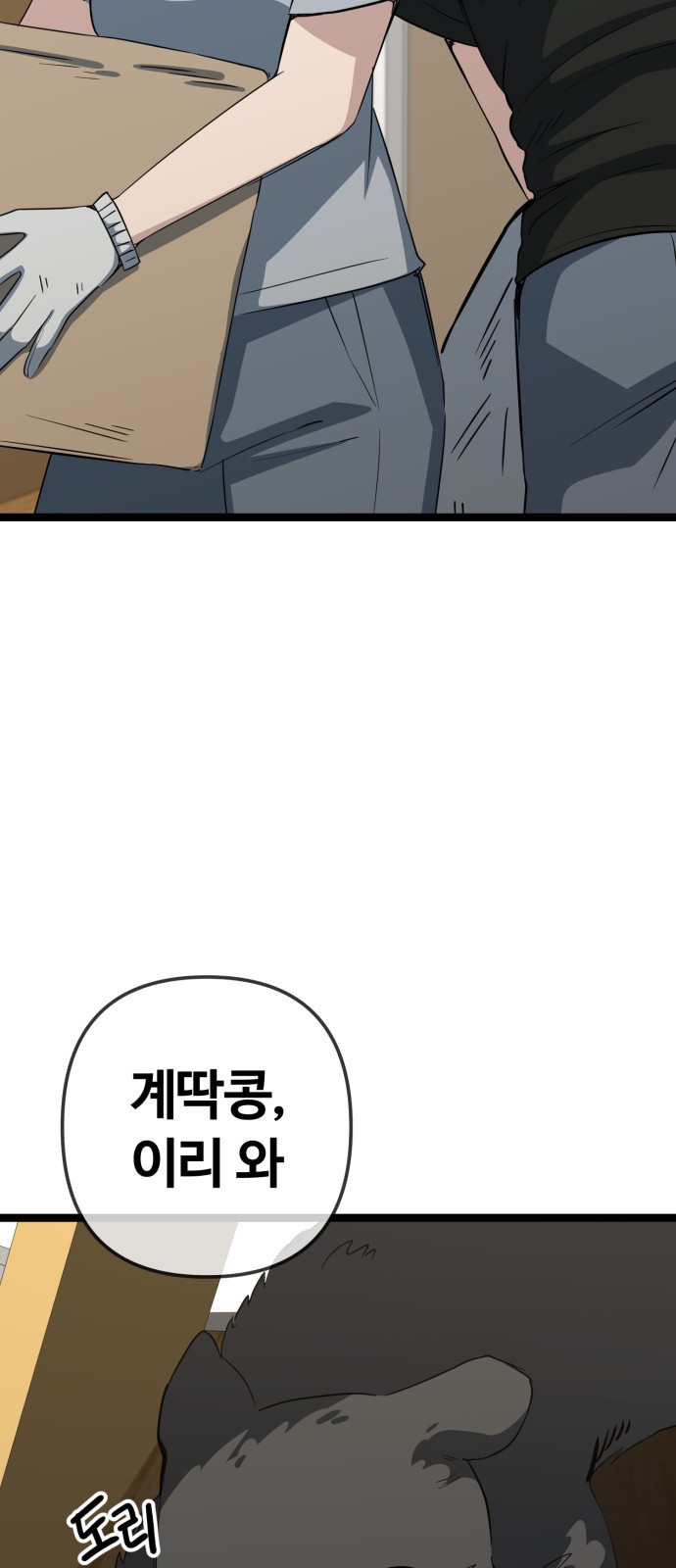17 페이지