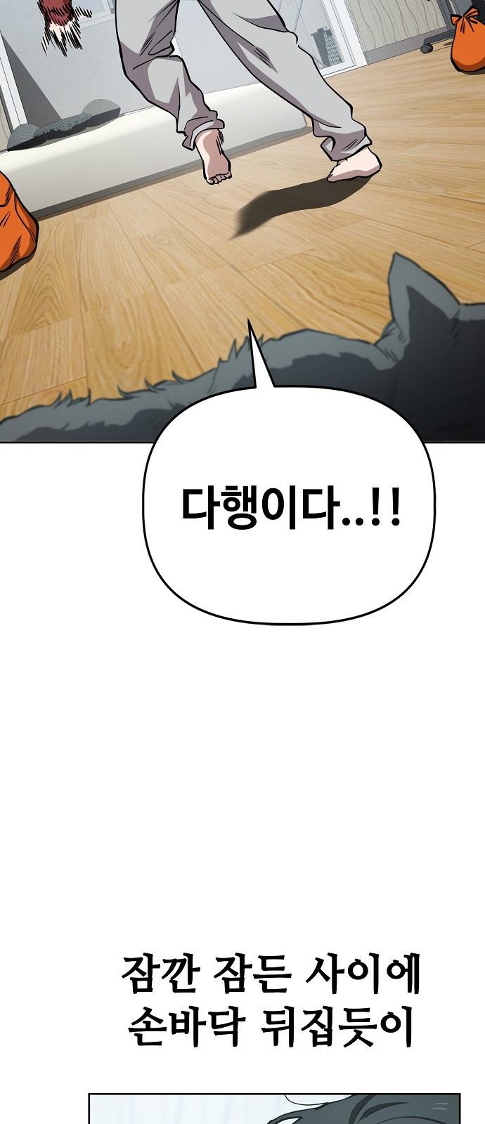 5 페이지