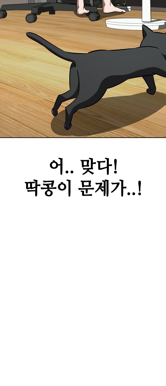 56 페이지