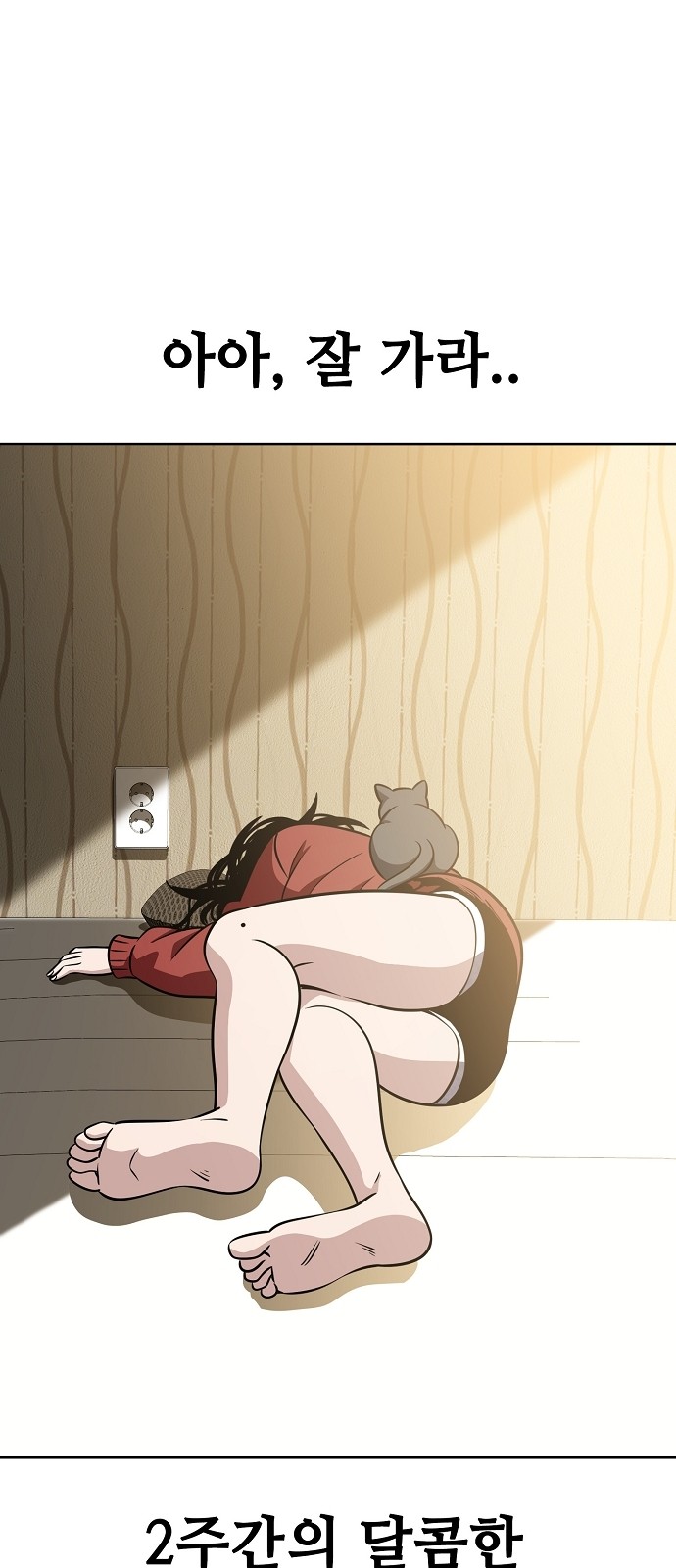 19 페이지