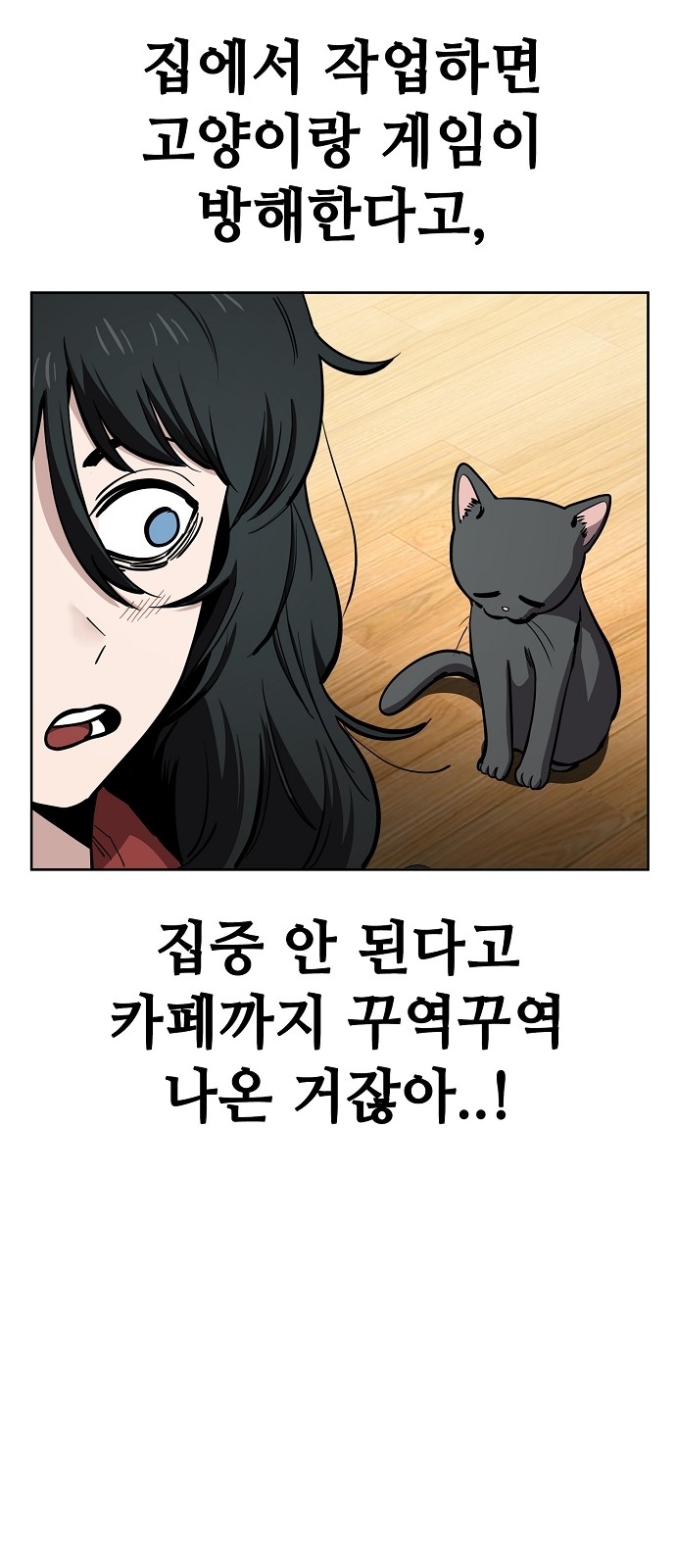 15 페이지
