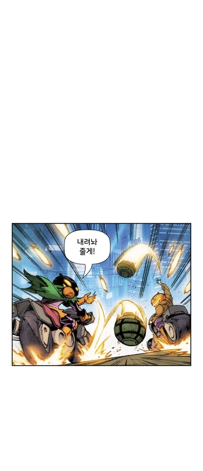 13 페이지
