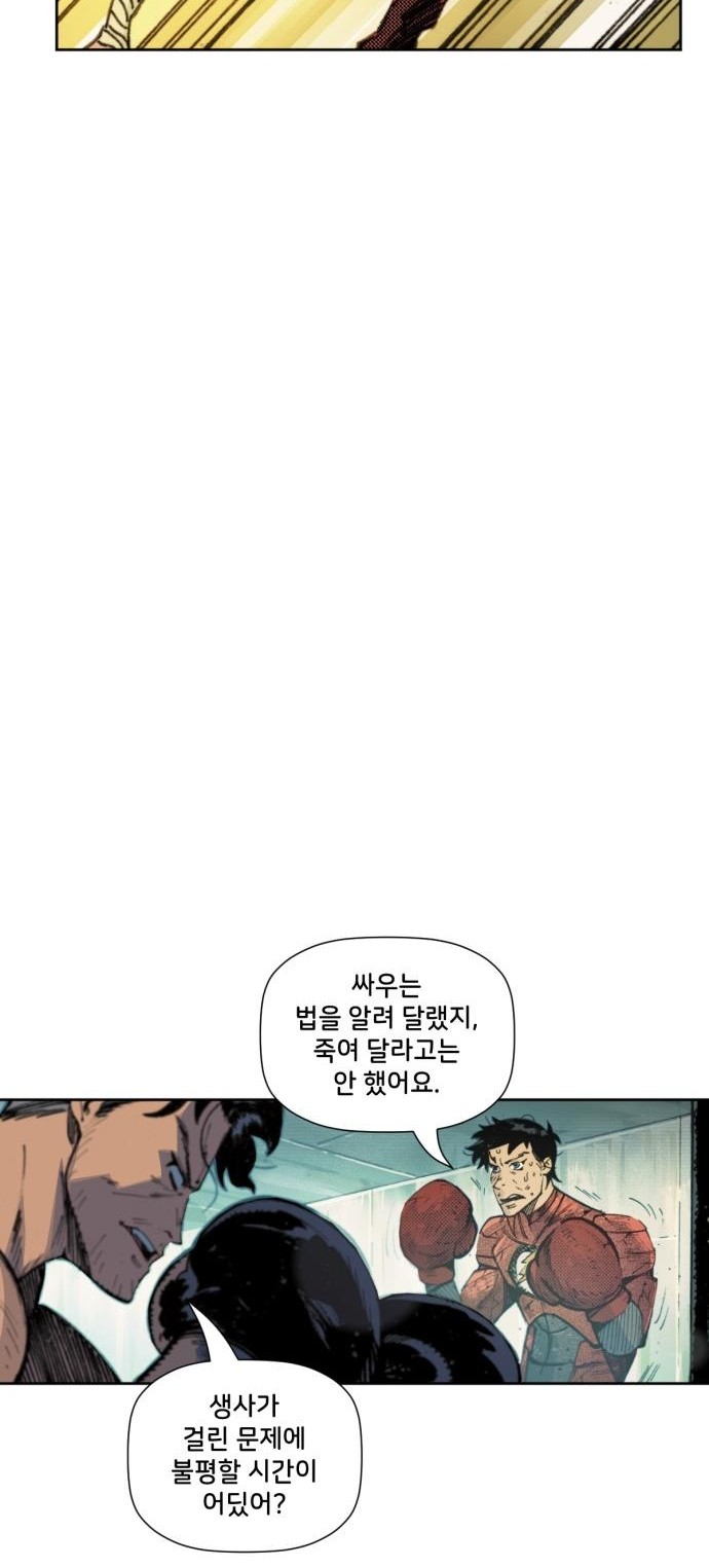 48 페이지