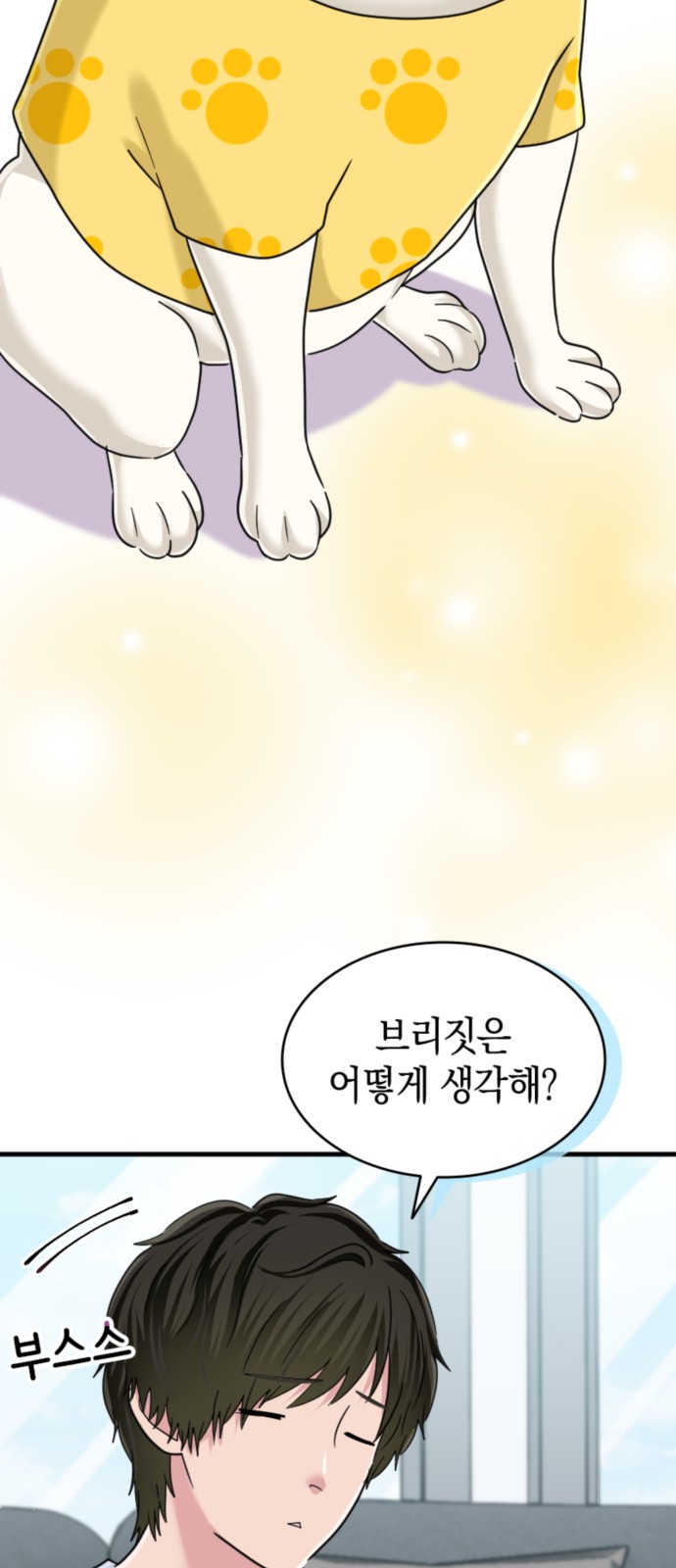 14 페이지