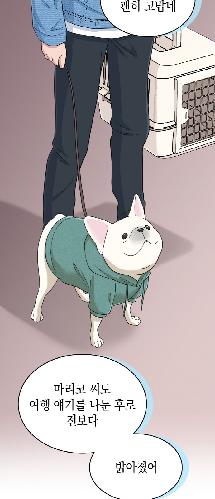 50 페이지