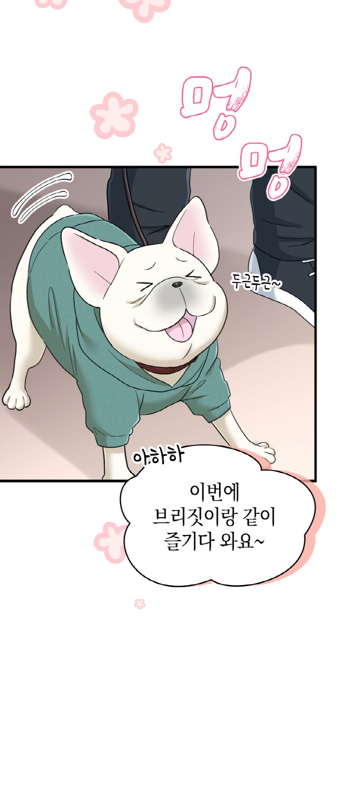 53 페이지