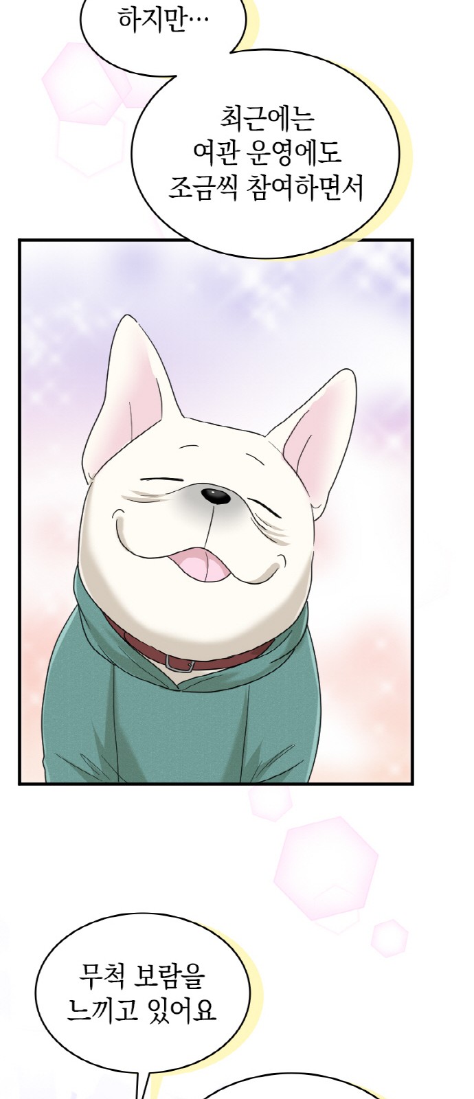 39 페이지