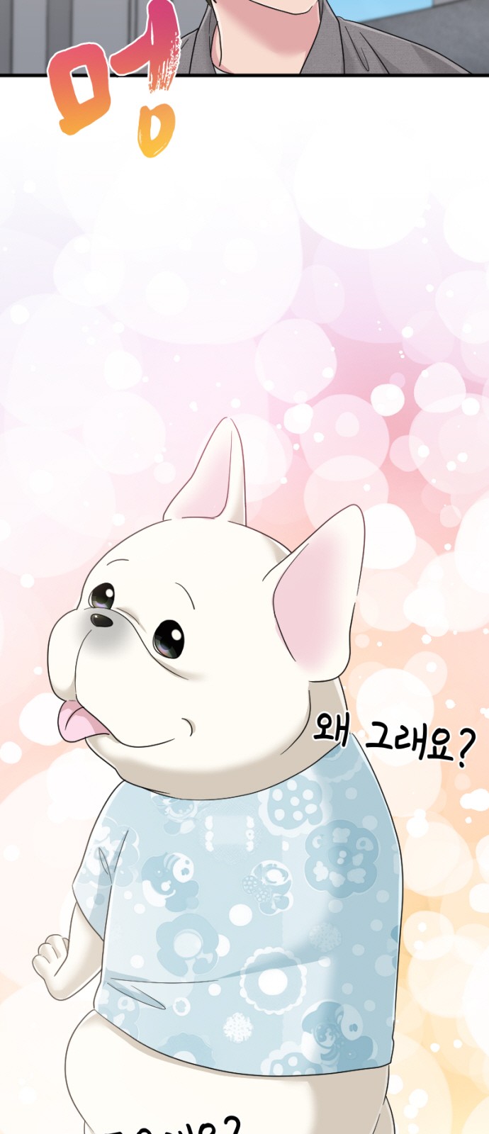 47 페이지
