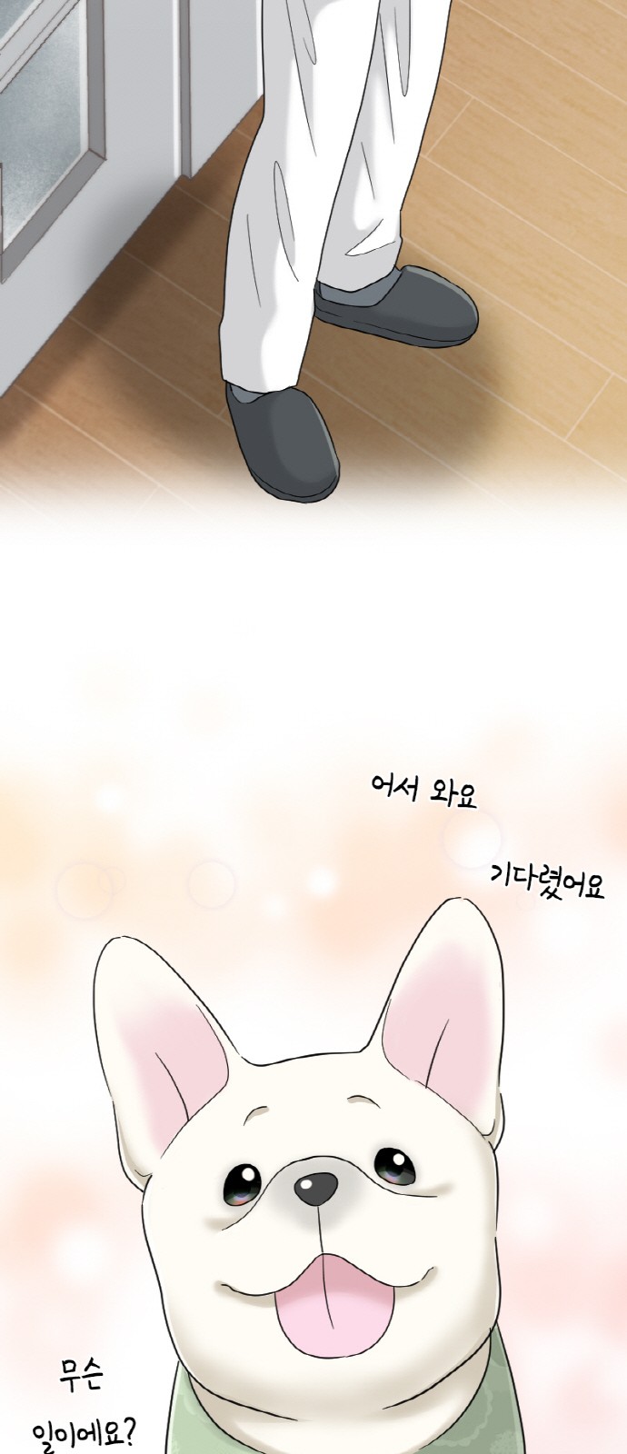 6 페이지