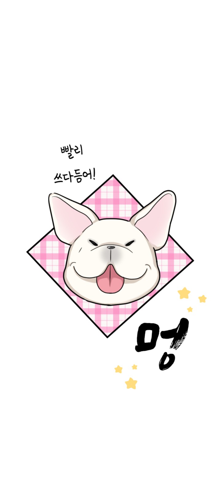 51 페이지
