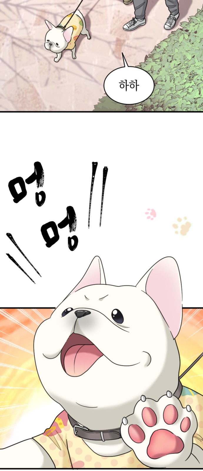 28 페이지
