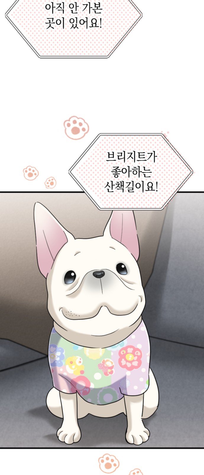 49 페이지