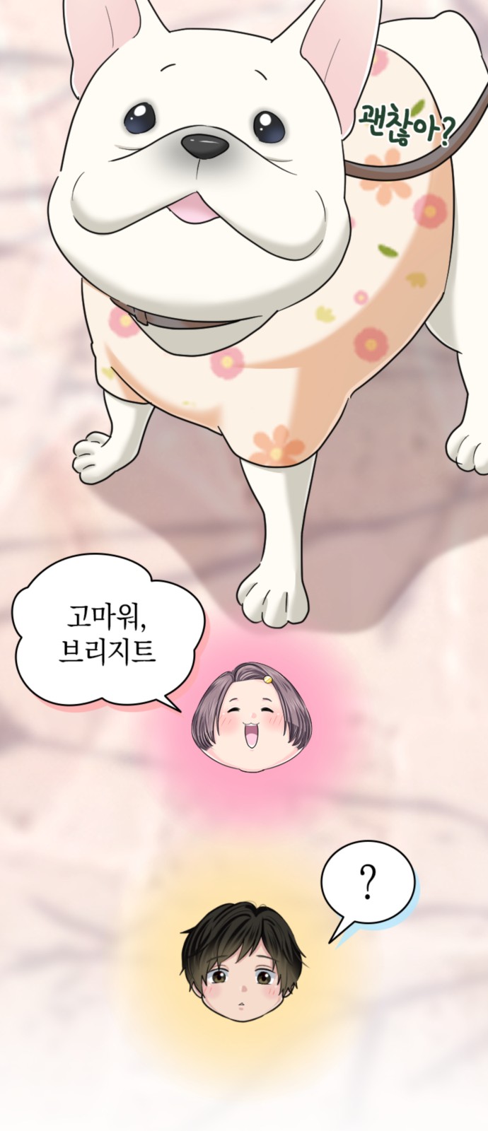 20 페이지