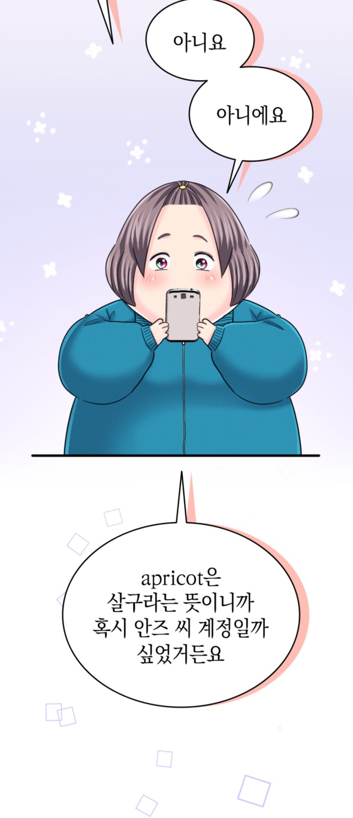 13 페이지