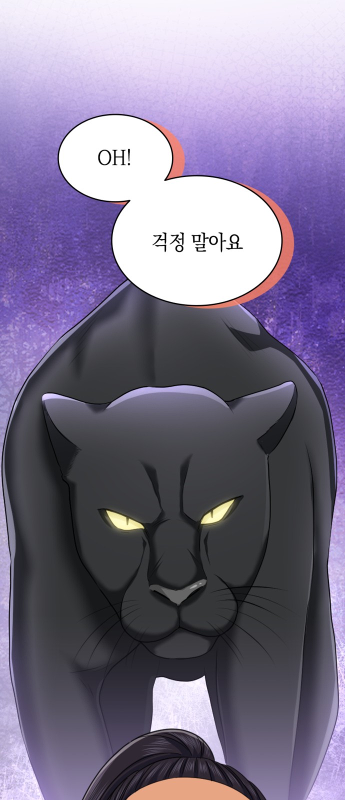 50 페이지