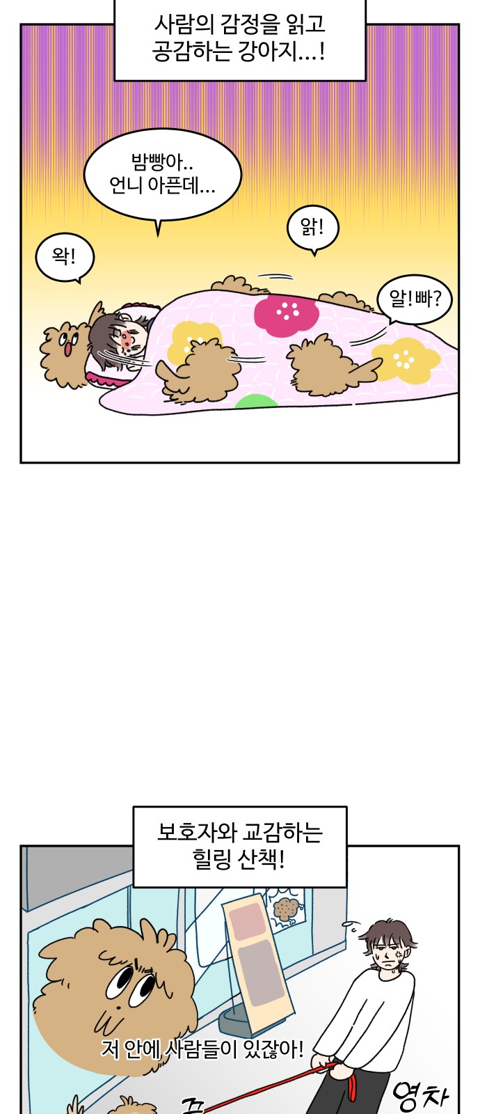 12 페이지