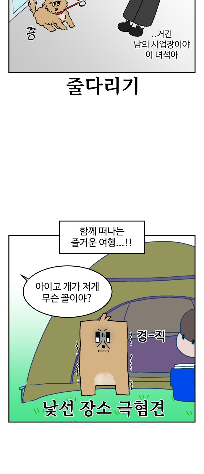 13 페이지