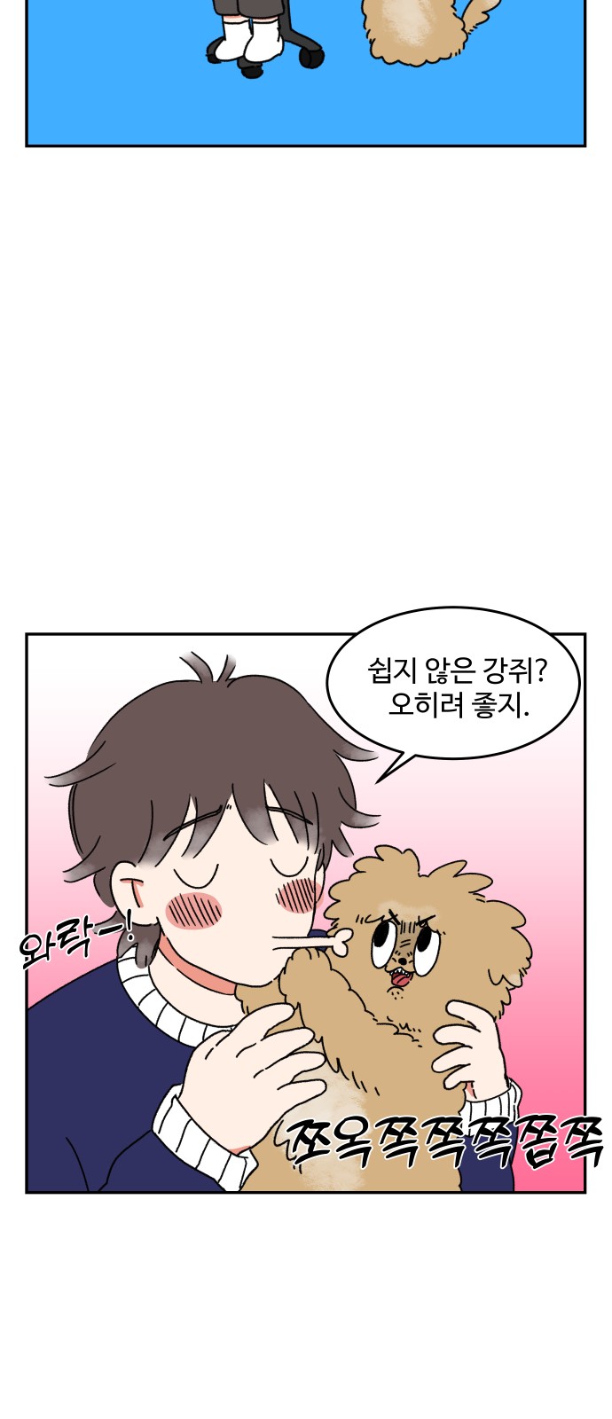 16 페이지
