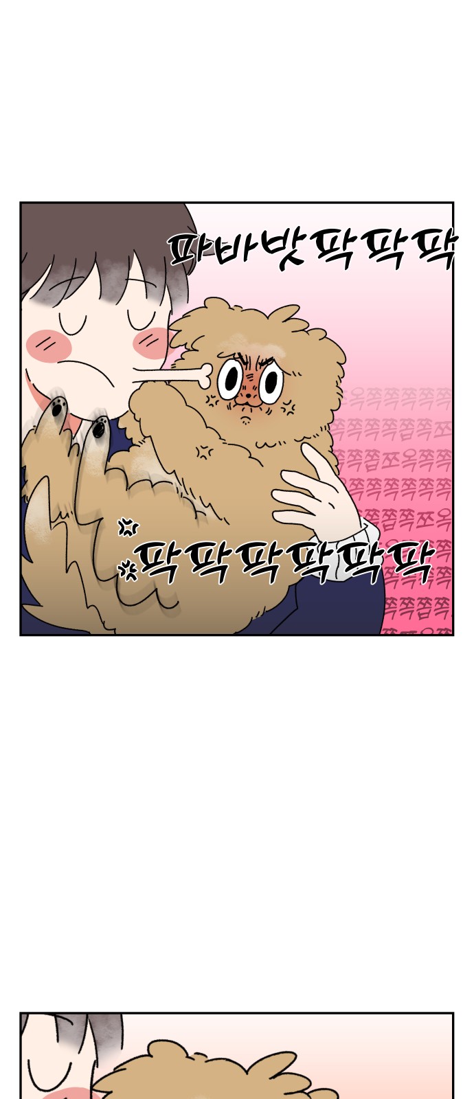 17 페이지