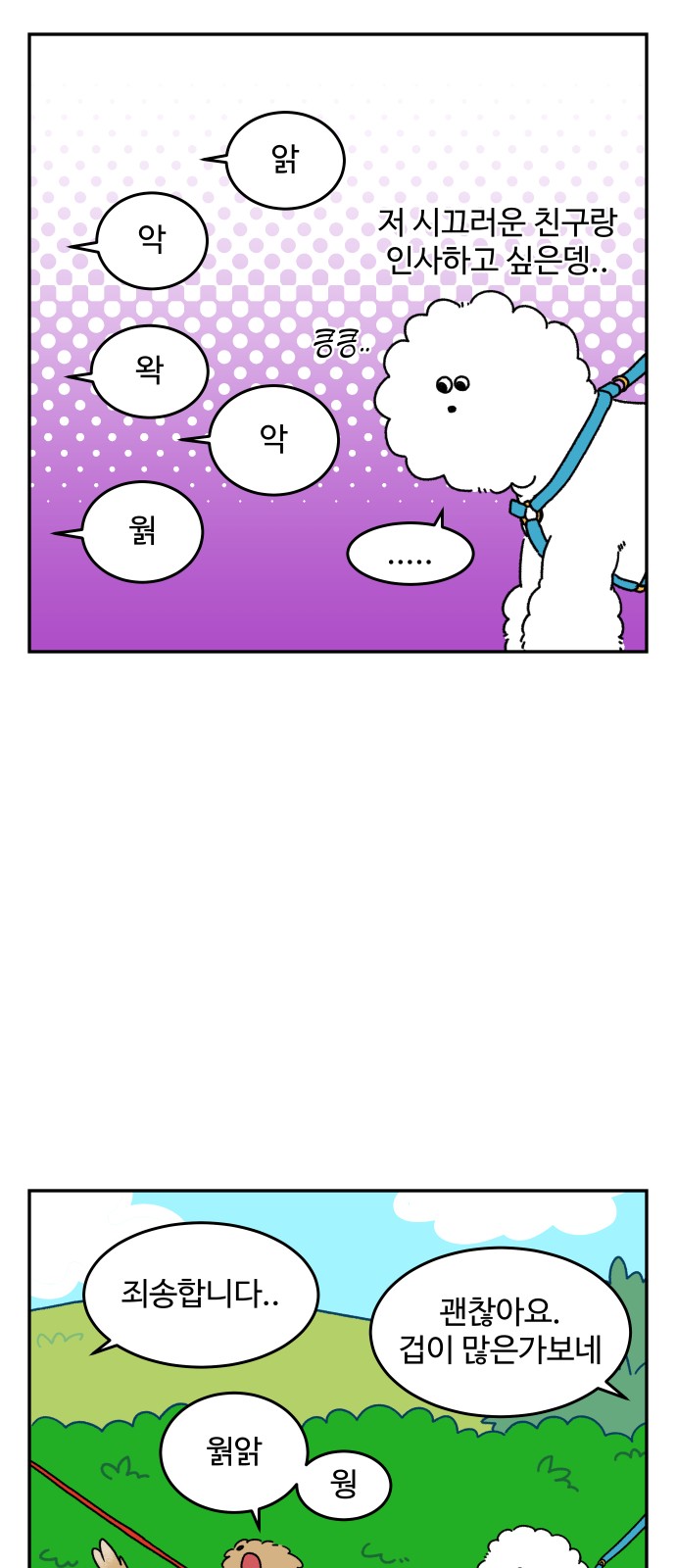 11 페이지