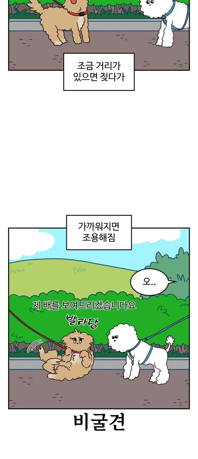 12 페이지
