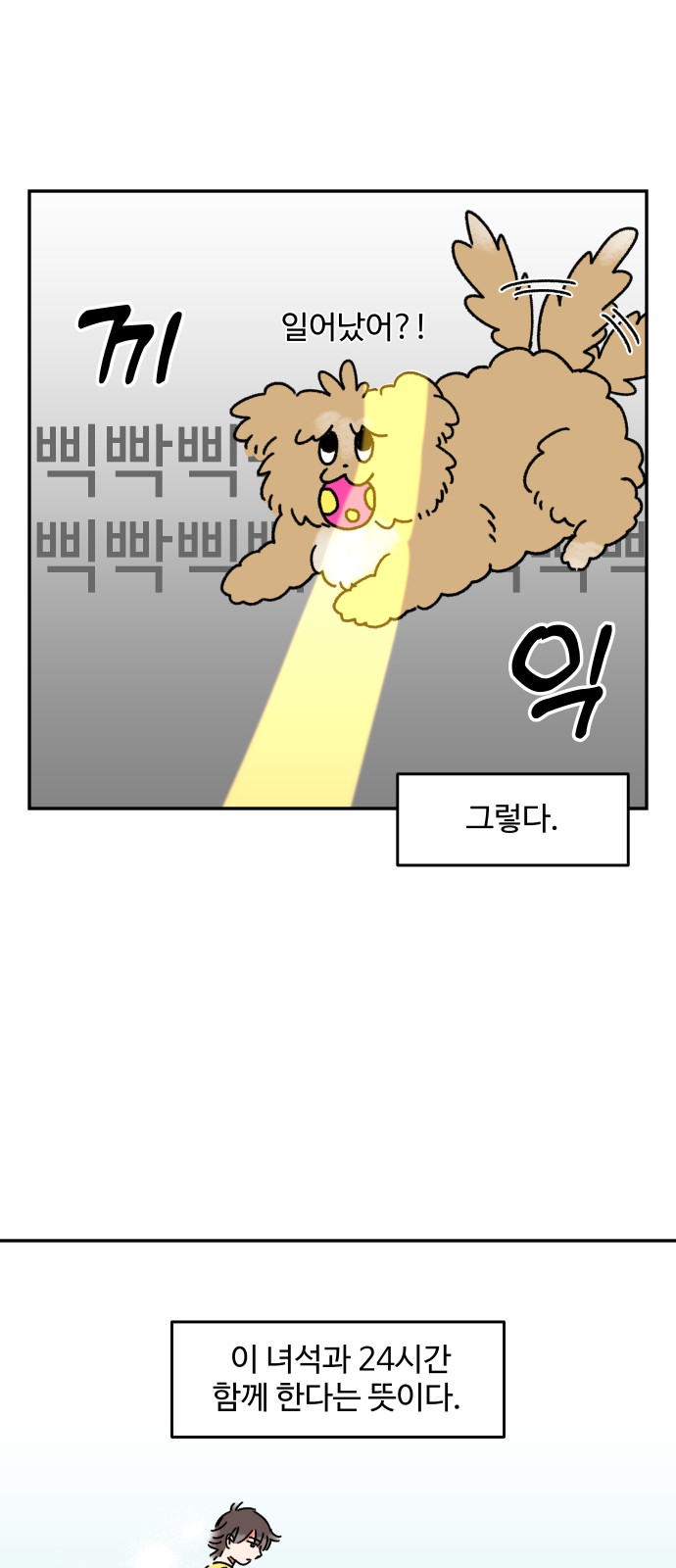 5 페이지