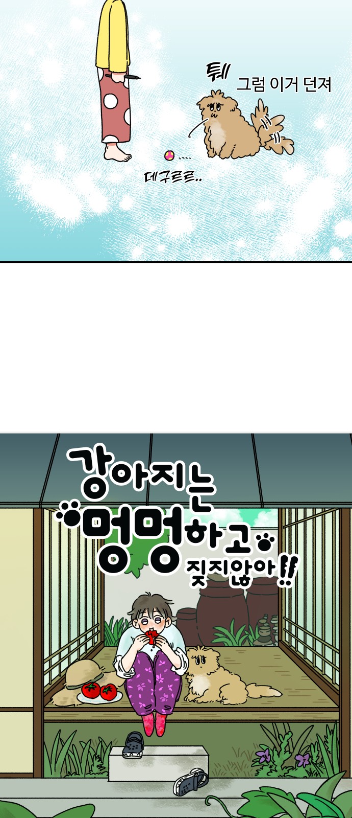 6 페이지