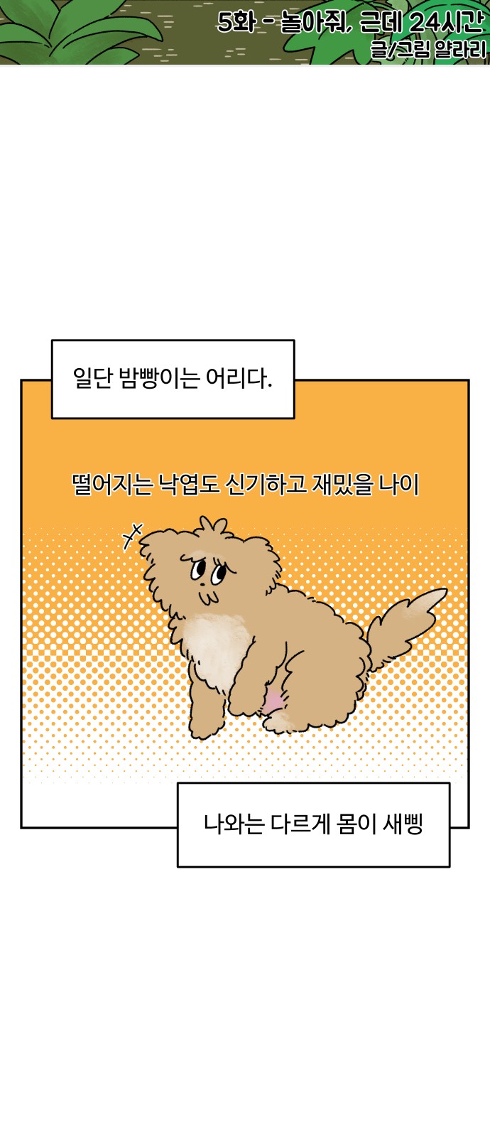 7 페이지