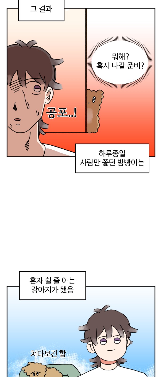11 페이지