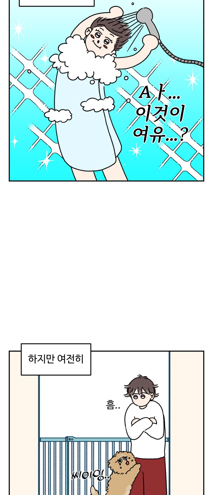 14 페이지