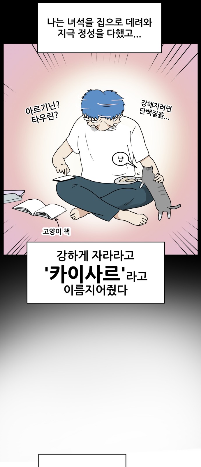22 페이지