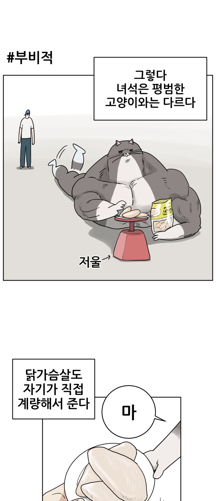 43 페이지