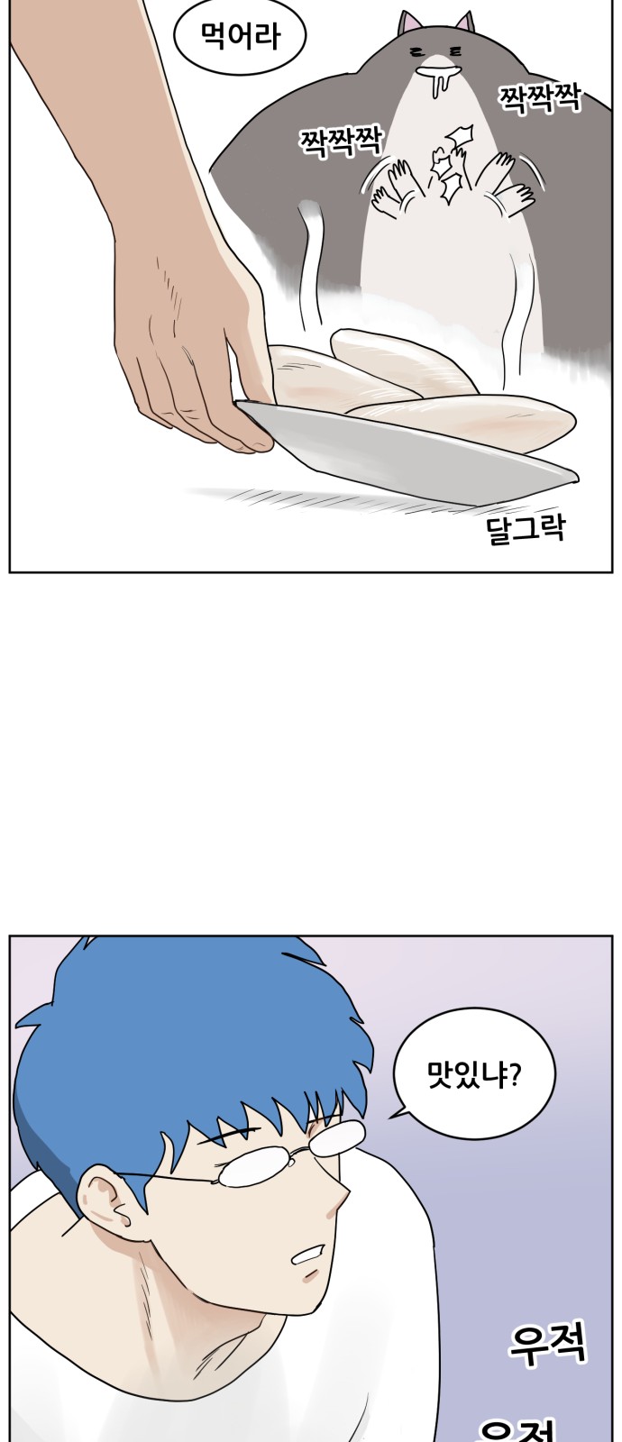 48 페이지