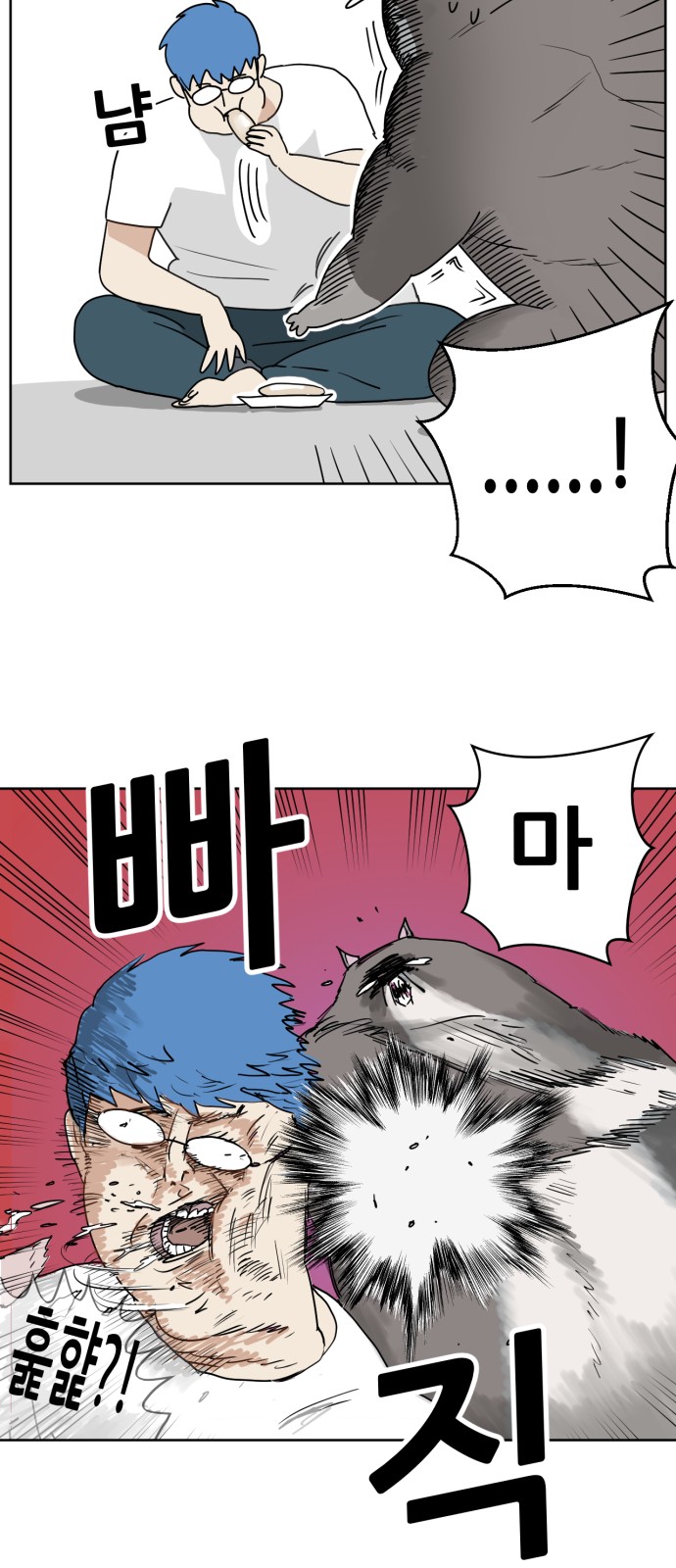 50 페이지