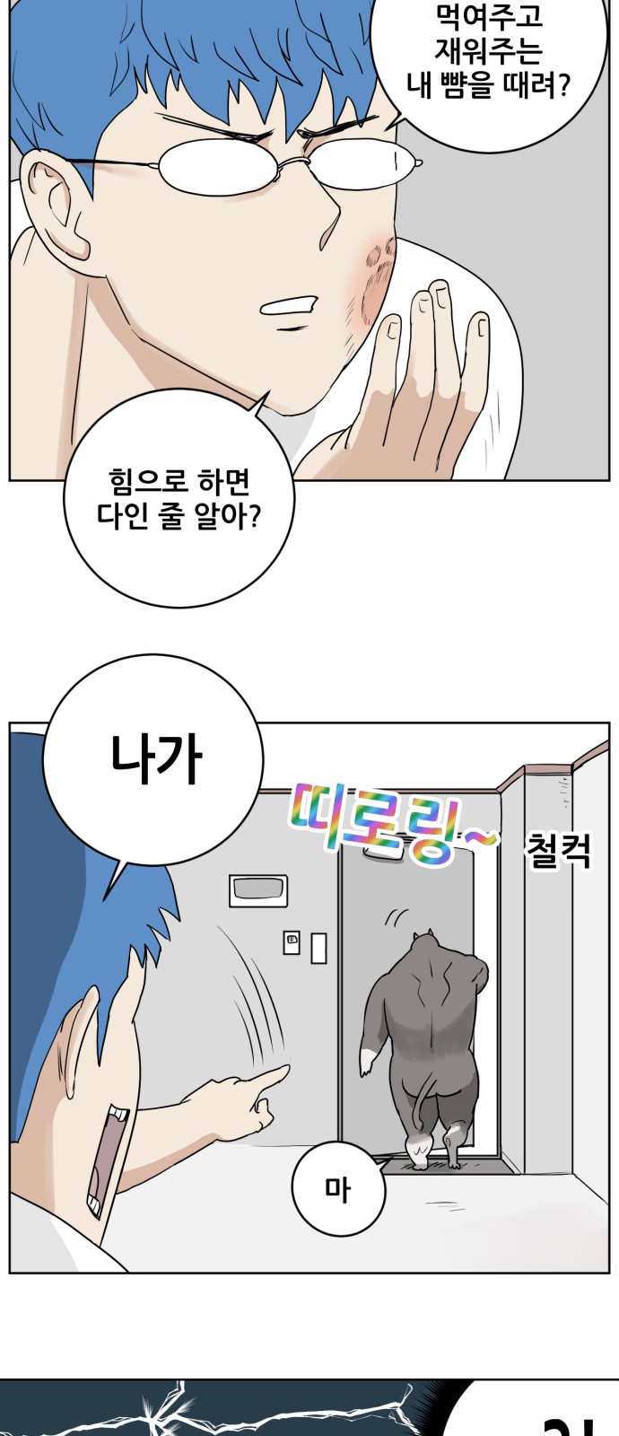 53 페이지